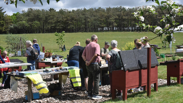 Danmarks Naturfredningsforenings frivillige hjalp familierne med at bygge fuglekasser.